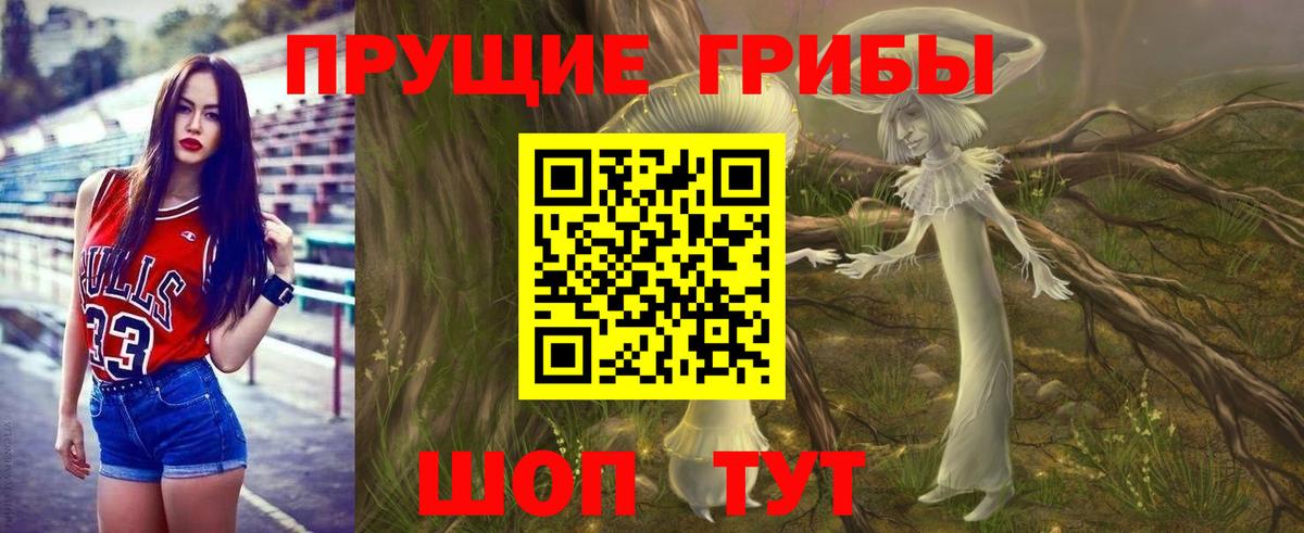 Псилоцибиновые грибы мицелий Тверь