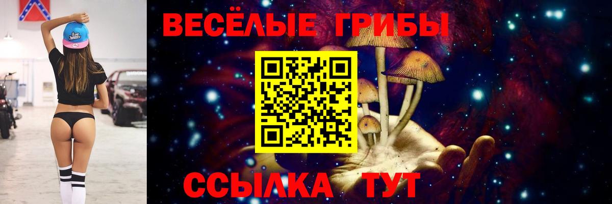 Псилоцибиновые грибы мухоморы  Вход с VPN  Галлюциногенные грибы мицелий  Тверь 